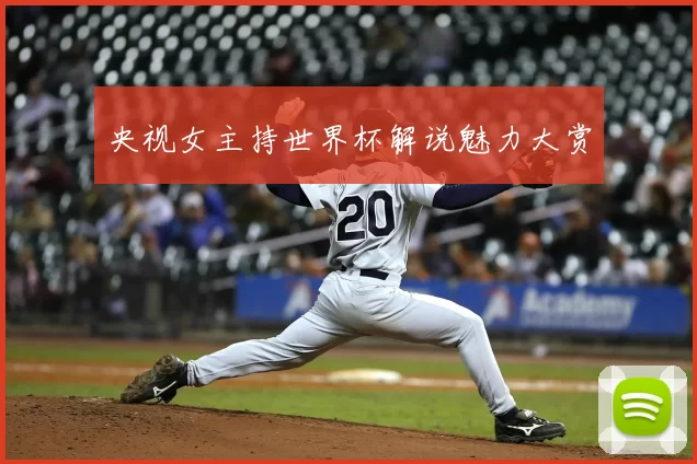 央视女主持世界杯解说魅力大赏