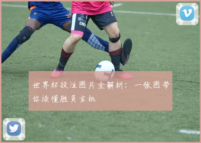 世界杯投注图片全解析:一张图带你读懂胜负玄机