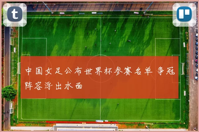 中国女足公布世界杯参赛名单 争冠阵容浮出水面