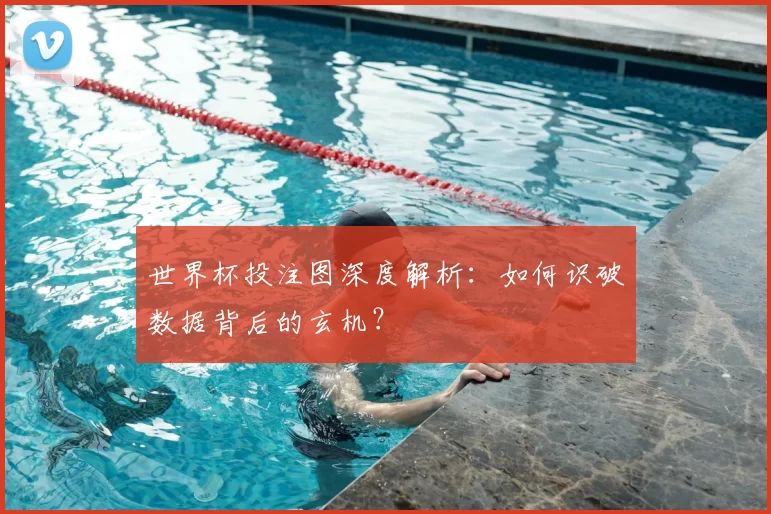 世界杯投注图深度解析：如何识破数据背后的玄机？