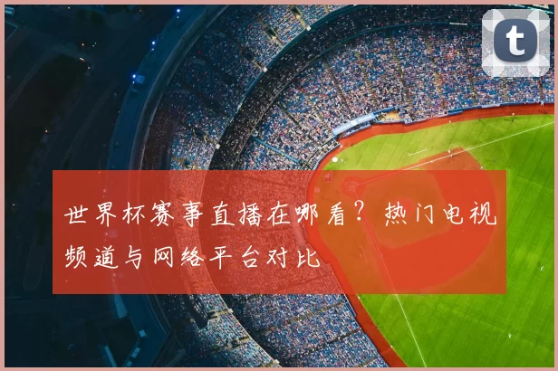 世界杯赛事直播在哪看？热门电视频道与网络平台对比