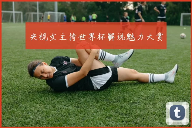 央视女主持世界杯解说魅力大赏