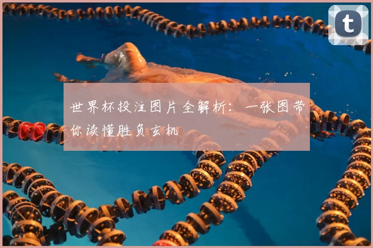 世界杯投注图片全解析：一张图带你读懂胜负玄机