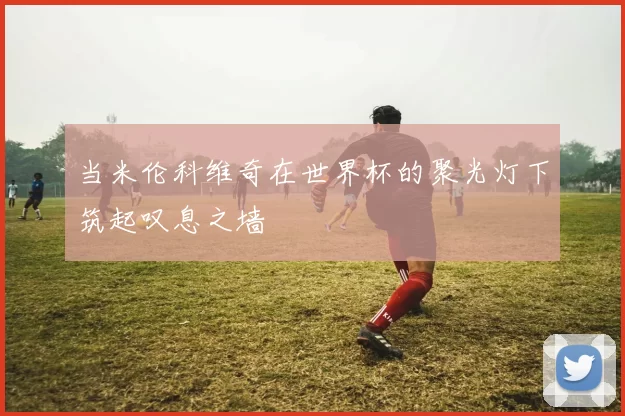 当米伦科维奇在世界杯的聚光灯下筑起叹息之墙