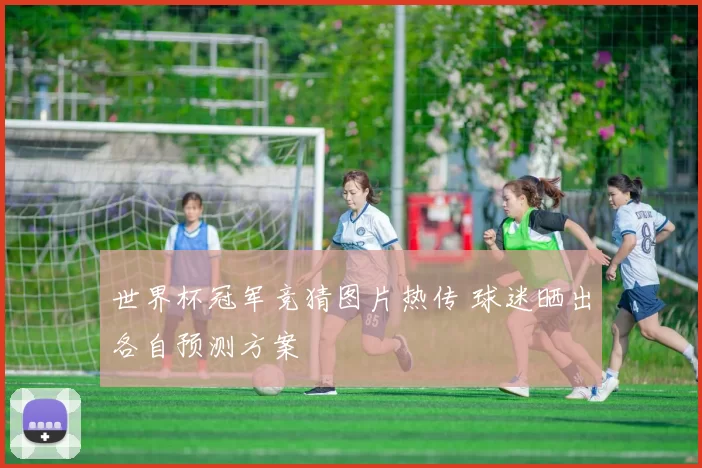 世界杯冠军竞猜图片热传 球迷晒出各自预测方案