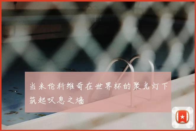 当米伦科维奇在世界杯的聚光灯下筑起叹息之墙